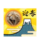 年末年始に使える癒しの2匹④（個別スタンプ：14）