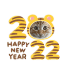 年末年始に使える癒しの2匹④（個別スタンプ：15）