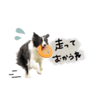 ♡あやな様（個別スタンプ：3）