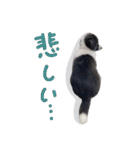♡あやな様（個別スタンプ：5）