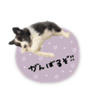 ♡あやな様（個別スタンプ：8）