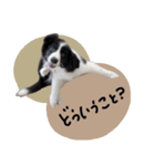 ♡あやな様（個別スタンプ：16）