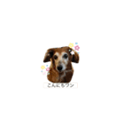 ナッちゃんとふっくん（個別スタンプ：2）
