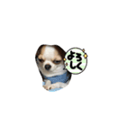 ナッちゃんとふっくん（個別スタンプ：8）