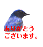幸せを運ぶ青い鳥たち【正規版】（個別スタンプ：2）