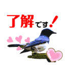 幸せを運ぶ青い鳥たち【正規版】（個別スタンプ：6）