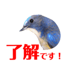 幸せを運ぶ青い鳥たち【正規版】（個別スタンプ：29）