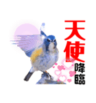 幸せを運ぶ青い鳥たち【正規版】（個別スタンプ：39）
