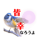 幸せを運ぶ青い鳥たち【正規版】（個別スタンプ：40）