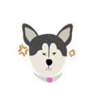 犬（イヌ）たち（個別スタンプ：27）