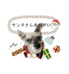 おちゃめなミニシュナ！ vol.5【秋冬編】（個別スタンプ：18）