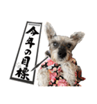 おちゃめなミニシュナ！ vol.5【秋冬編】（個別スタンプ：31）
