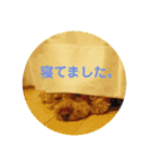 愛しのLatteちゃん（個別スタンプ：5）