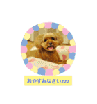 愛しのLatteちゃん（個別スタンプ：6）