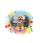 愛しのLatteちゃん（個別スタンプ：9）