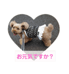 愛しのLatteちゃん（個別スタンプ：25）