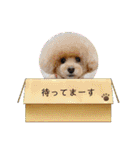 愛しのLatteちゃん（個別スタンプ：27）