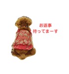 愛しのLatteちゃん（個別スタンプ：29）