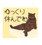 保護猫レオとルナ#2（個別スタンプ：9）