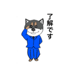 黒柴さんの挨拶（個別スタンプ：1）
