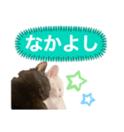 仲良し兄妹☆ちるとキャリー（個別スタンプ：1）