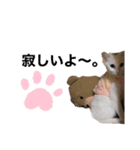 仲良し兄妹☆ちるとキャリー（個別スタンプ：3）