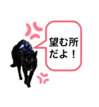 仲良し兄妹☆ちるとキャリー（個別スタンプ：4）