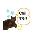 仲良し兄妹☆ちるとキャリー（個別スタンプ：6）