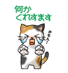 猫大好き！（大）その26(X'mas・年末年始）（個別スタンプ：4）