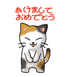 猫大好き！（大）その26(X'mas・年末年始）（個別スタンプ：32）