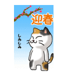 猫大好き！（大）その26(X'mas・年末年始）（個別スタンプ：38）