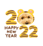 2022 NICOとSENA（個別スタンプ：1）