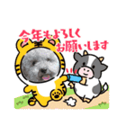 2022 NICOとSENA（個別スタンプ：4）