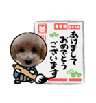 2022 NICOとSENA（個別スタンプ：5）