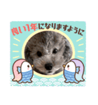 2022 NICOとSENA（個別スタンプ：9）