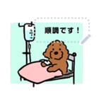 ずっと使える！動物病院スタンプ（個別スタンプ：20）