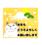 リアル可愛い猫【年末年始と冬のあいさつ】（個別スタンプ：37）