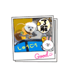 おませなマル（個別スタンプ：4）