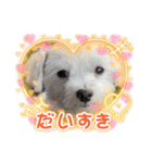 おませなマル（個別スタンプ：8）
