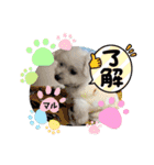 おませなマル（個別スタンプ：11）