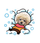 マハロ、カノア（個別スタンプ：2）
