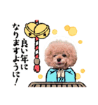 マハロ、カノア（個別スタンプ：10）