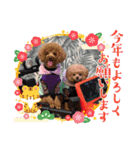 マハロ、カノア（個別スタンプ：15）