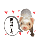 ⭐︎フェレット⭐︎（個別スタンプ：6）