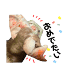 ⭐︎フェレット⭐︎（個別スタンプ：8）
