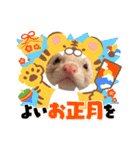 ⭐︎フェレット⭐︎（個別スタンプ：15）