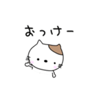 おとなりの猫さん（個別スタンプ：3）