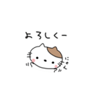 おとなりの猫さん（個別スタンプ：11）