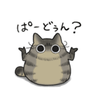 キジトラねこだらけ（個別スタンプ：14）