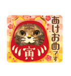 あけもこメリもこ（個別スタンプ：4）